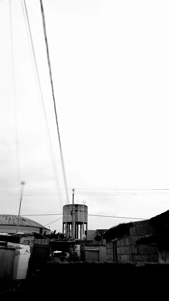 Photo #12832472