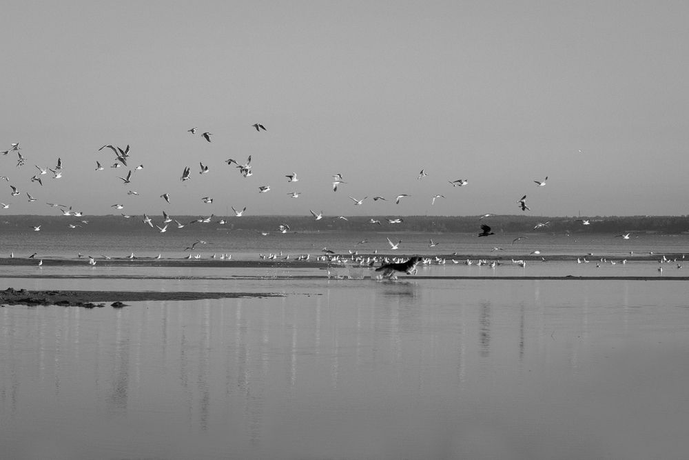 Photograph by Екатерина Воронина