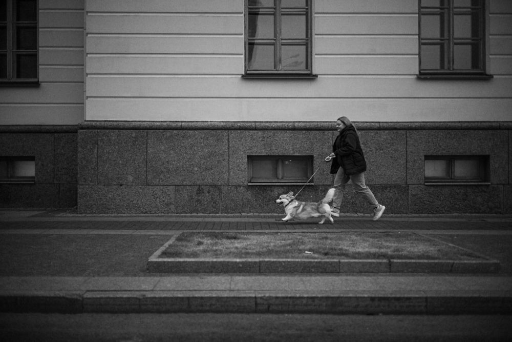 Photograph by Екатерина Воронина