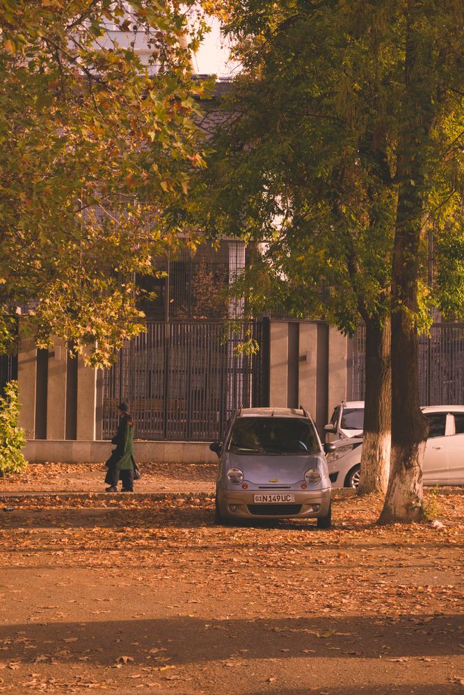 Photograph by Besira Aghayeva