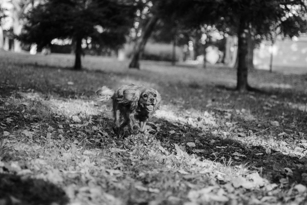 Photograph by Екатерина Воронина