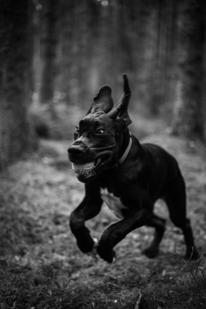 Photograph by Екатерина Воронина