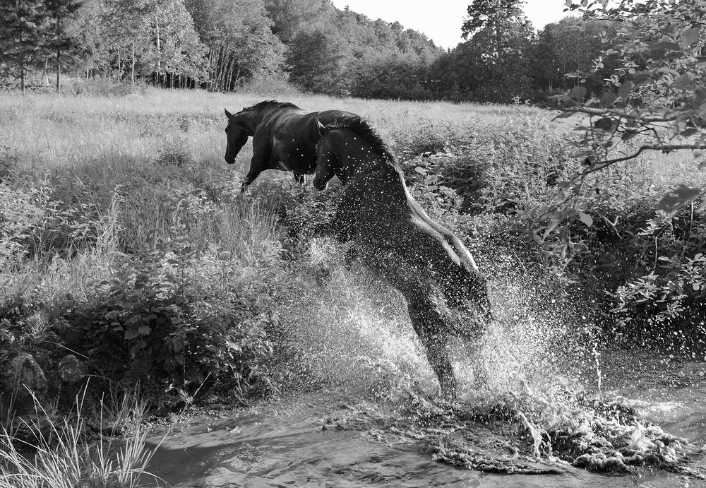 после купания