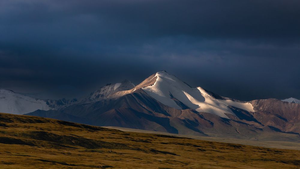 Нежность утра