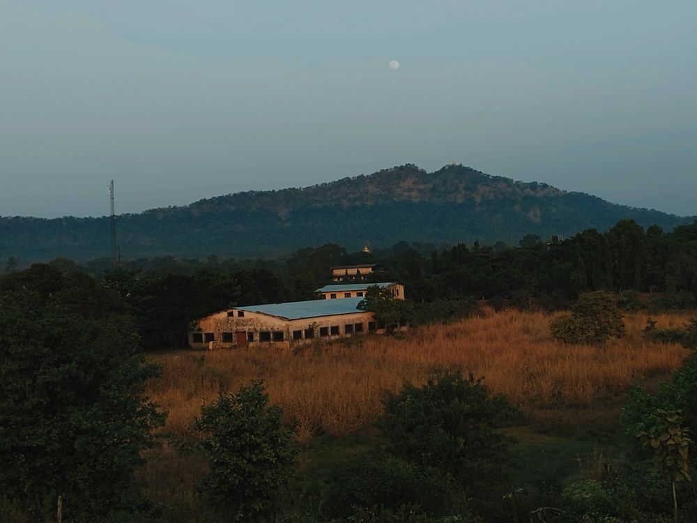 Golden Hay, Blue Hour