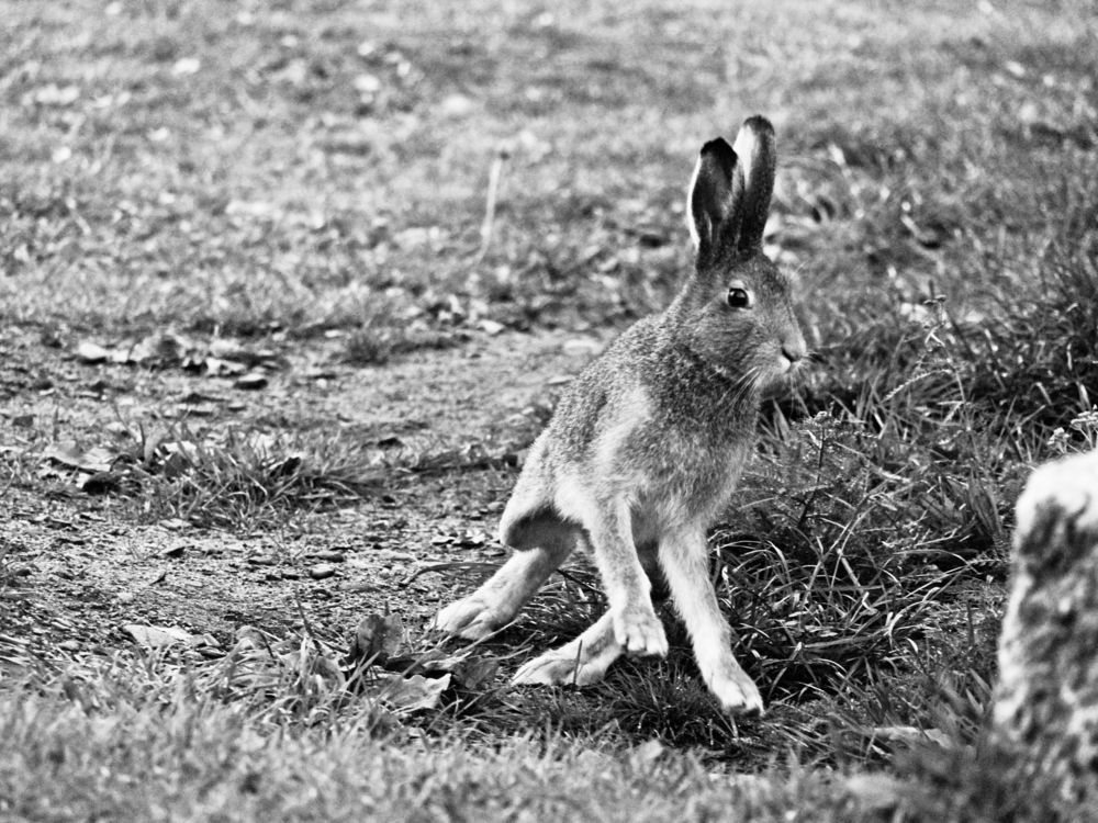 Photograph by Илюшечкина Екатерина