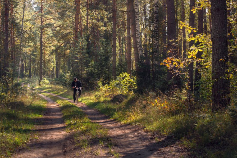 Photograph by Алексеев Дмитрий