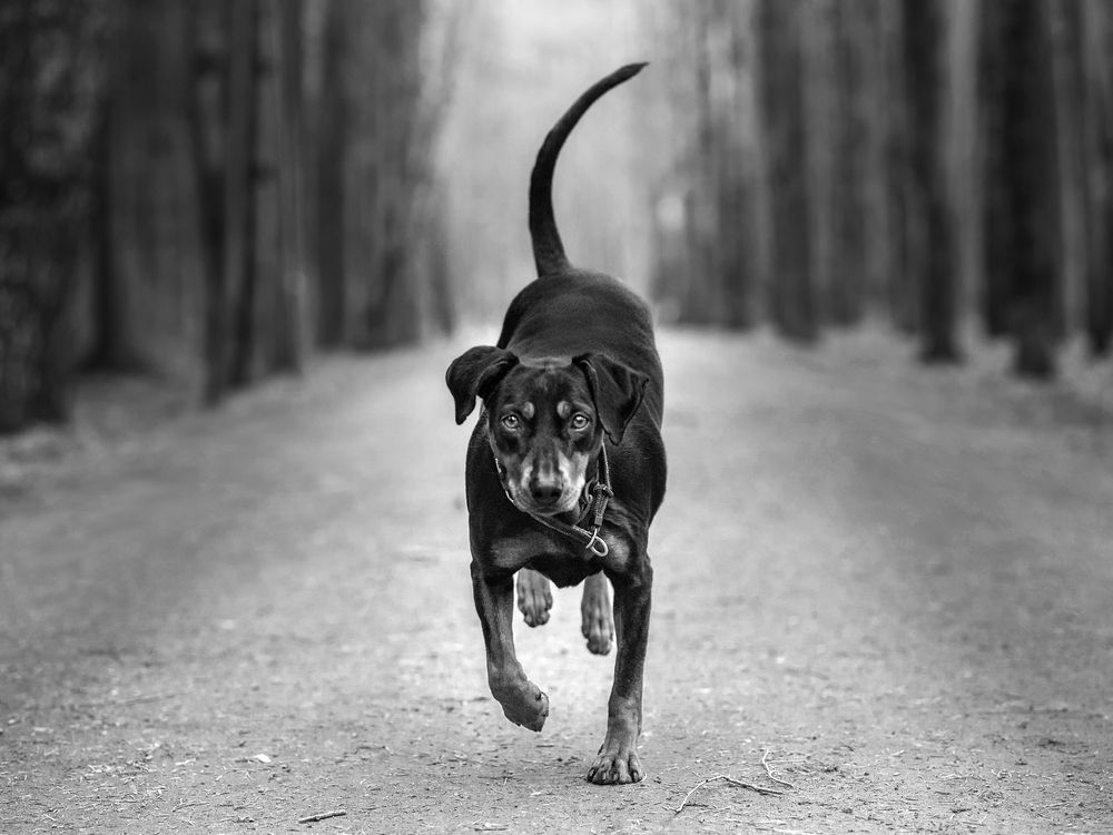 Фотография автора Васильева Светлана