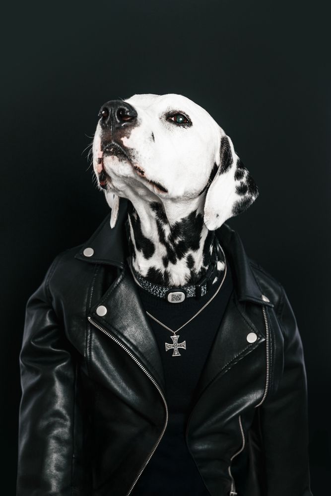 Фотография автора Татьяна Драгунова