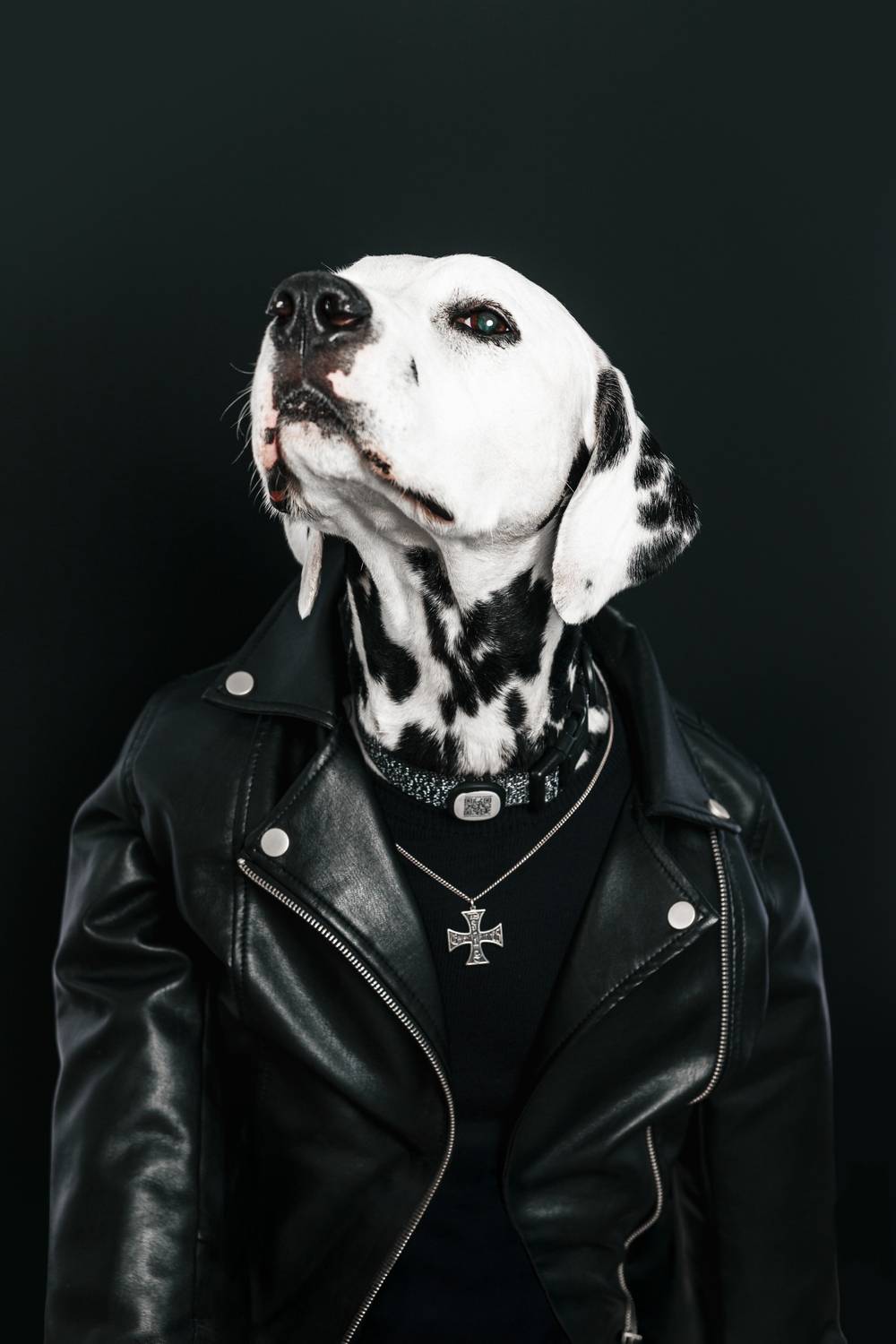 Фотография #12832822