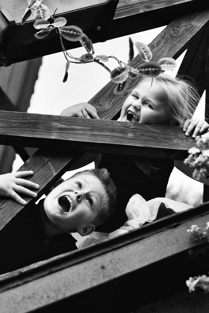 Photograph by надежда плавник