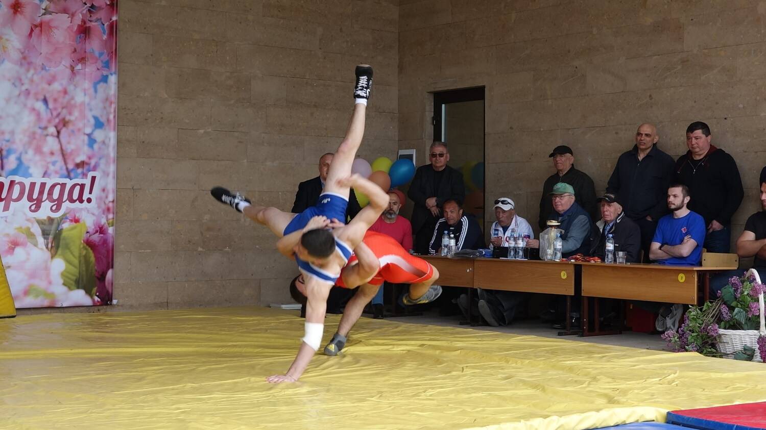 Photo #12832857