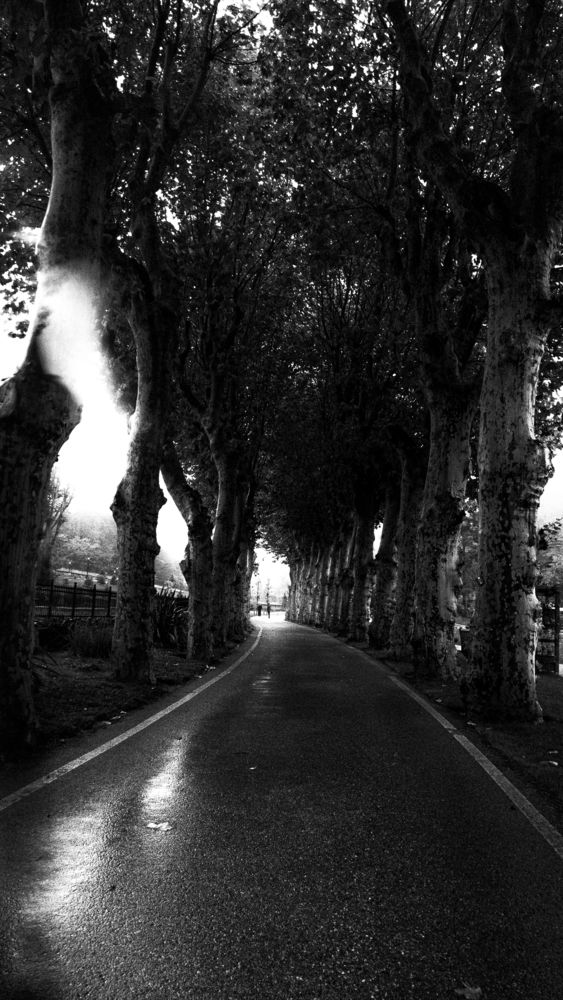 Black and white