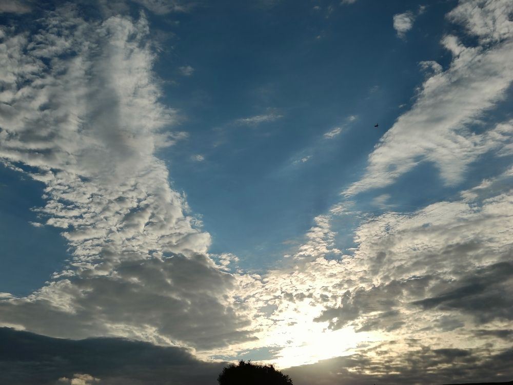 Photograph by Müseyib Ələkbər