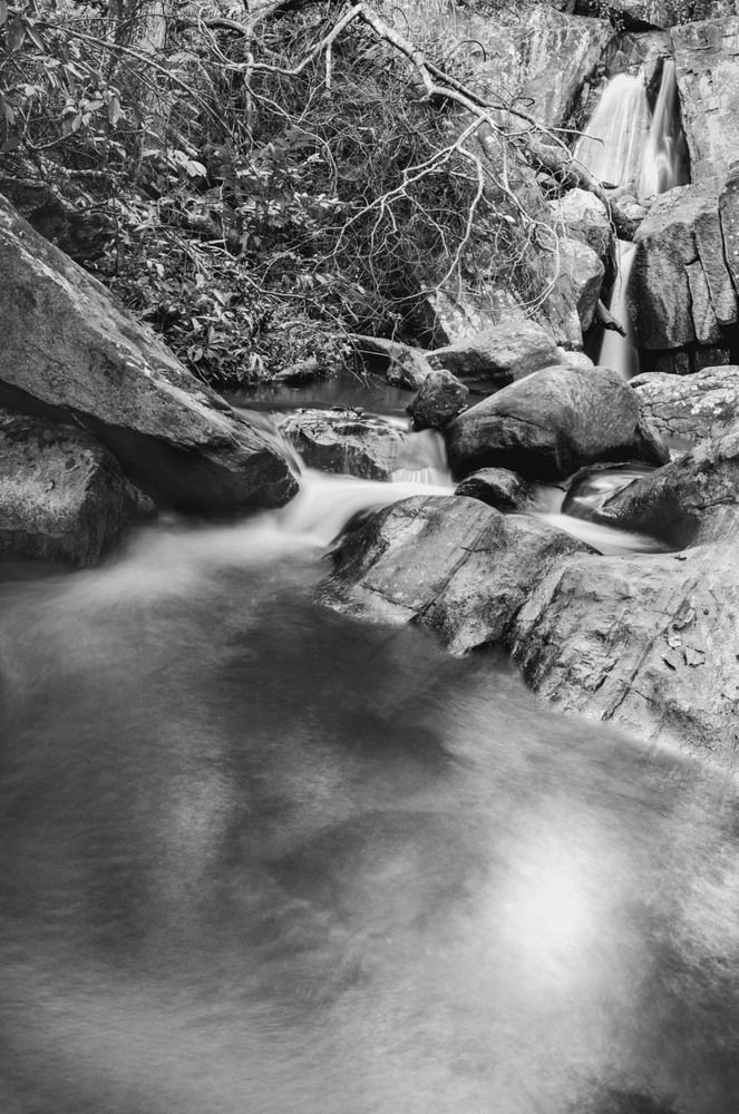 Photograph by Lenis Freitas