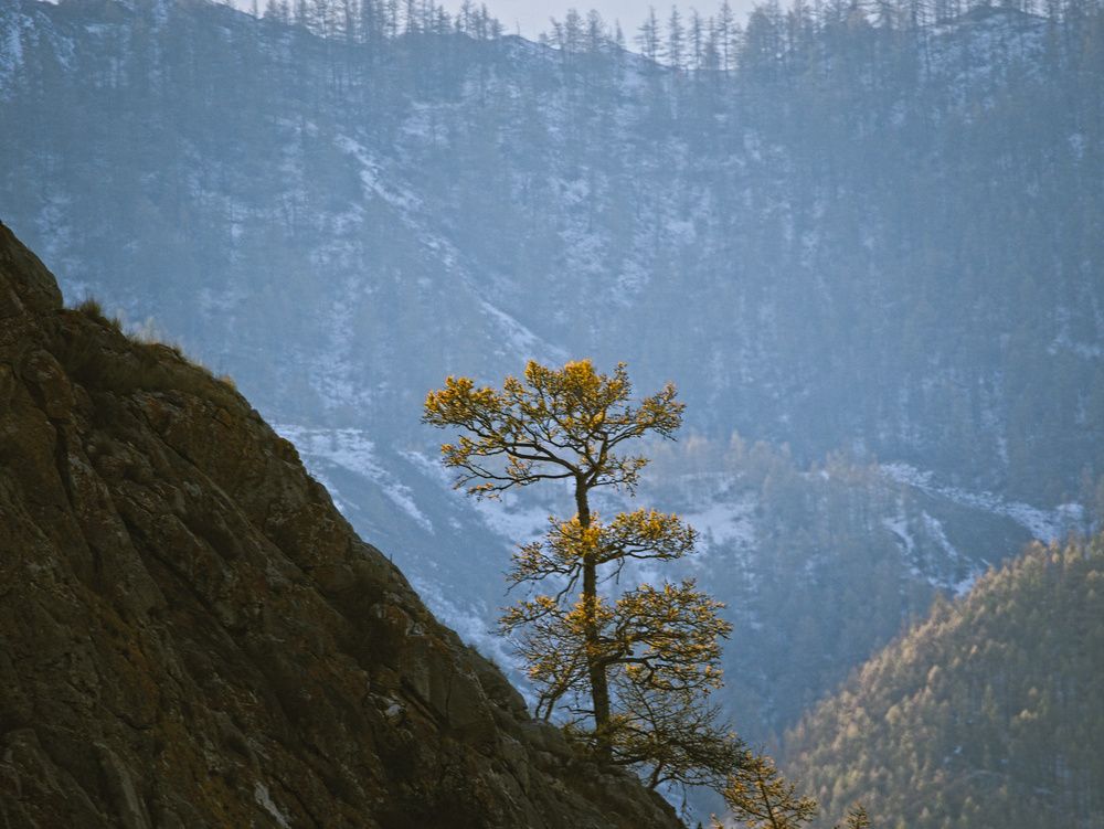 Photograph by Андрей Куприенко