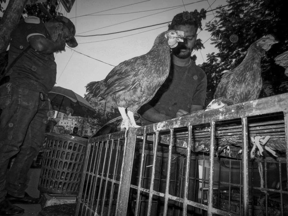Photograph by RG iro