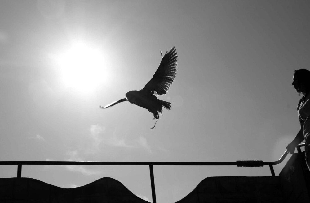 Photograph by Марина