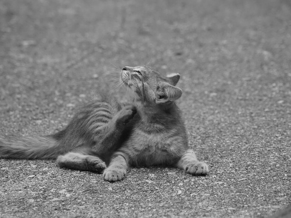 Photograph by Сергей Борисов