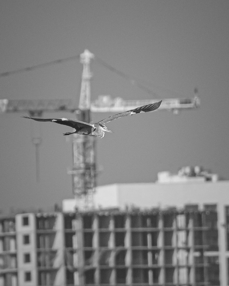 Фотография автора Дмитрий Маккеев