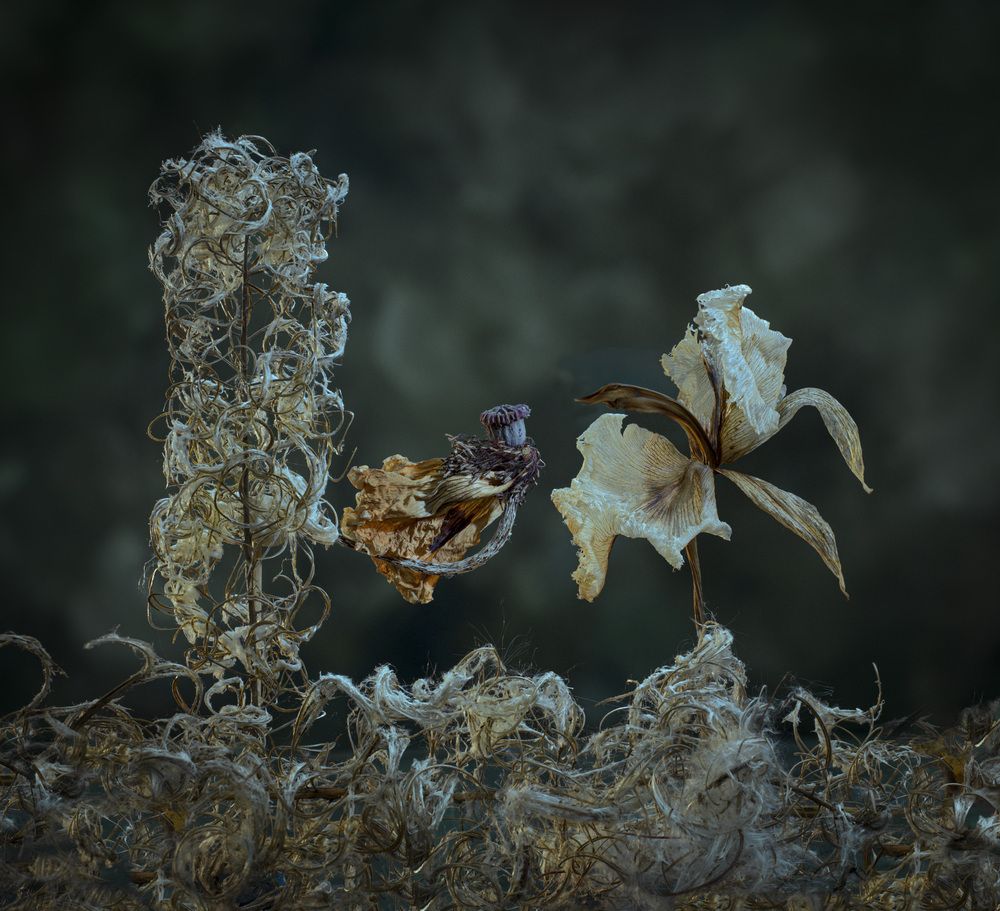 Photograph by Валентин Черновол