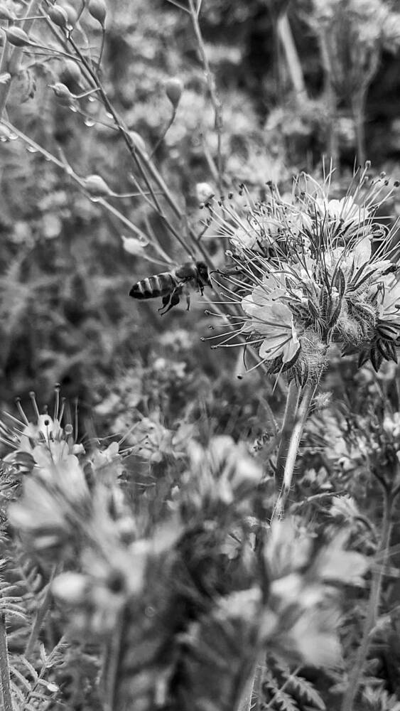 Фотография автора Васильева Ирина