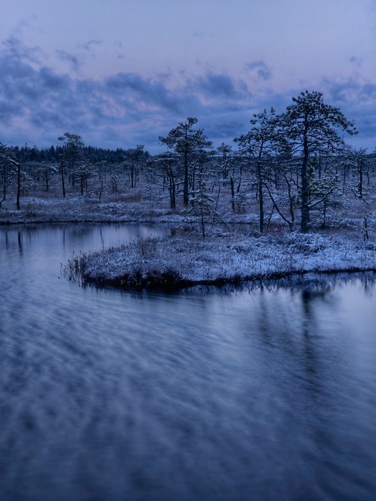 Photograph by Анна Семенова