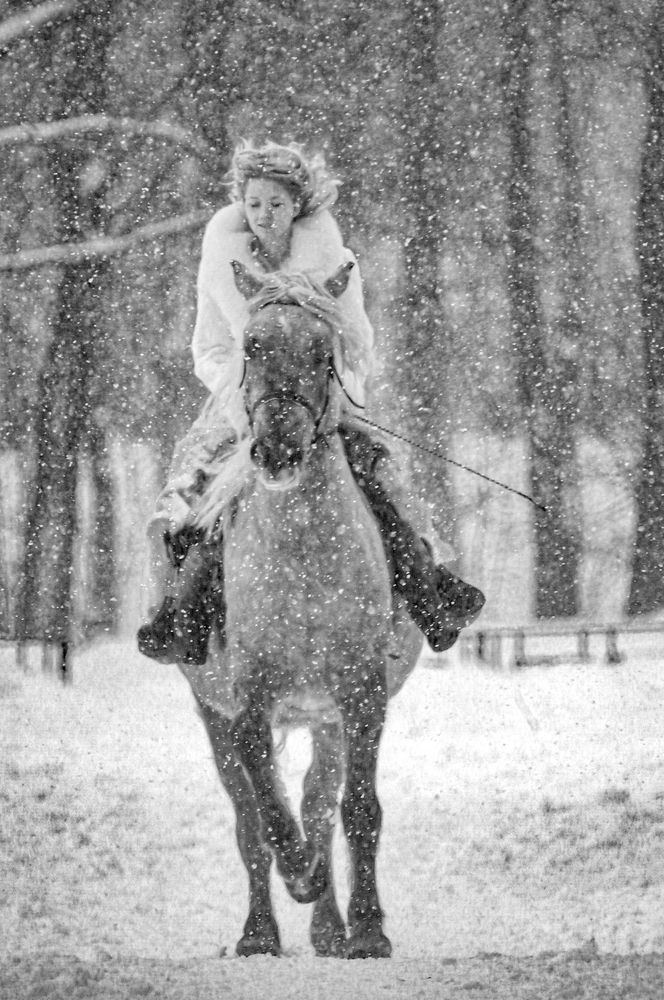 Фотография автора Николай Нестеренко