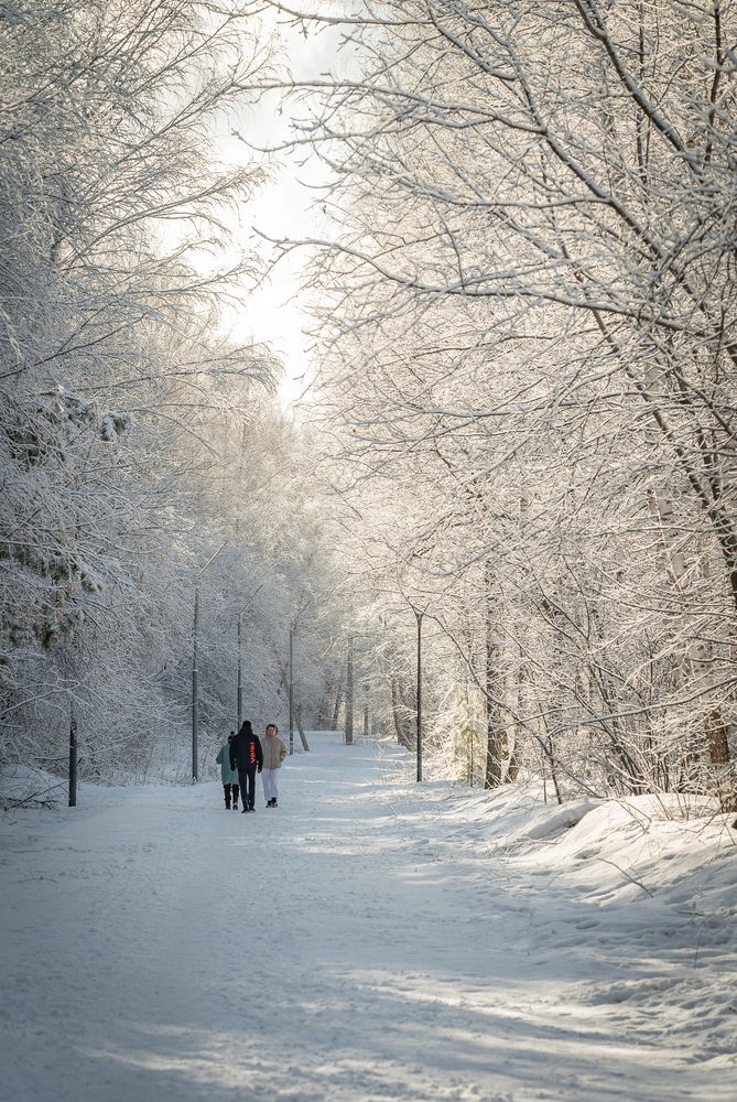 Photograph by Альварис Сукманюк