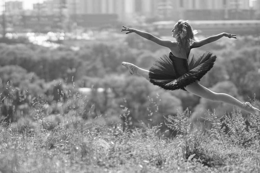 Фотография автора Николай Нестеренко