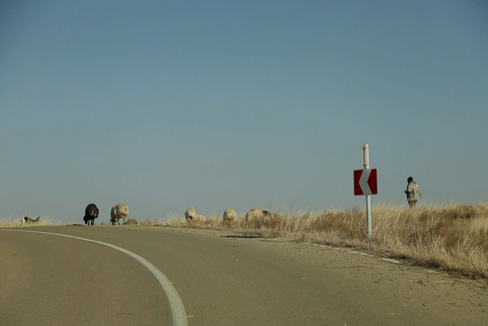 Photograph by Дим Барзыкин