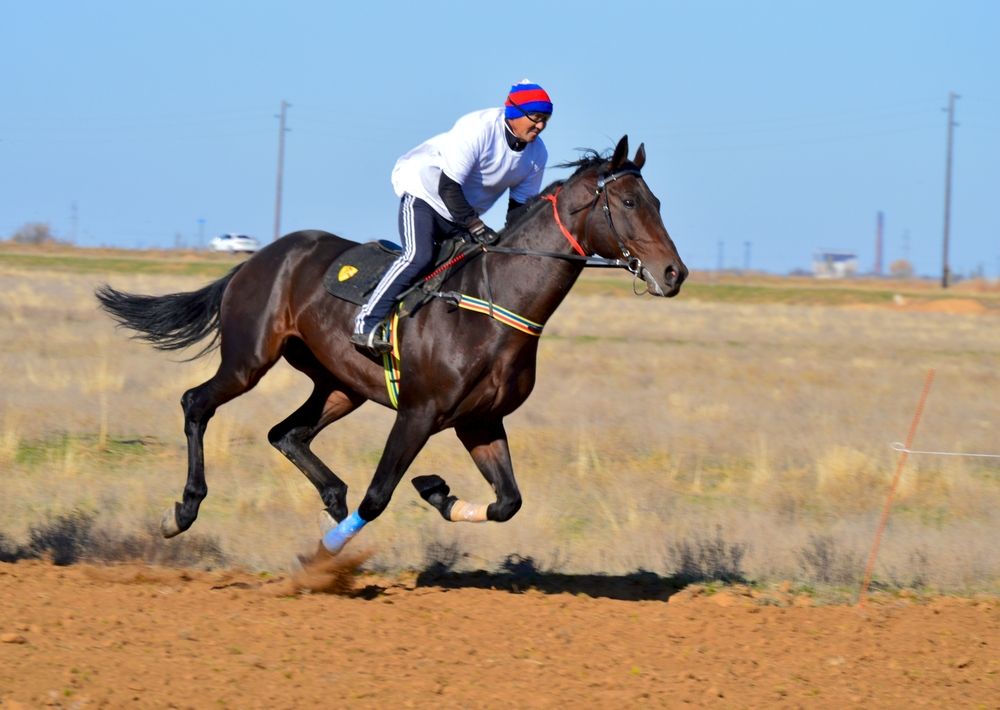 Photograph by Евгения Сапон