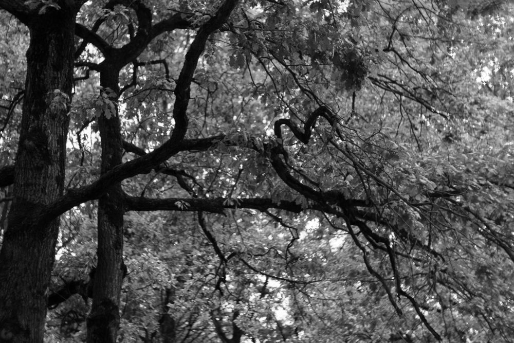 Photograph by Тина Рошка
