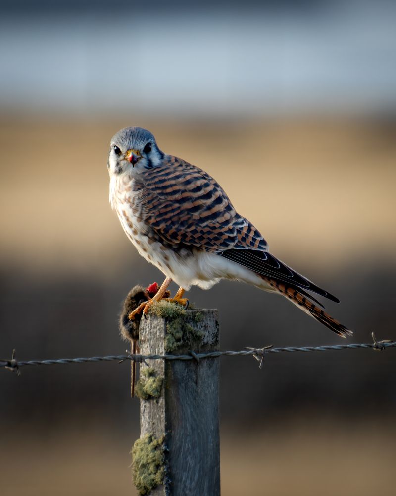 Photograph by Juan Alonso Gutiérrez