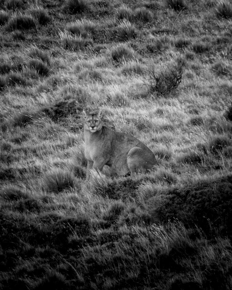 Photograph by Juan Alonso Gutiérrez