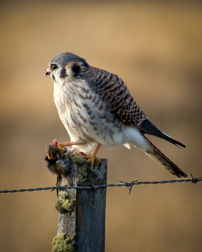 Photograph by Juan Alonso Gutiérrez