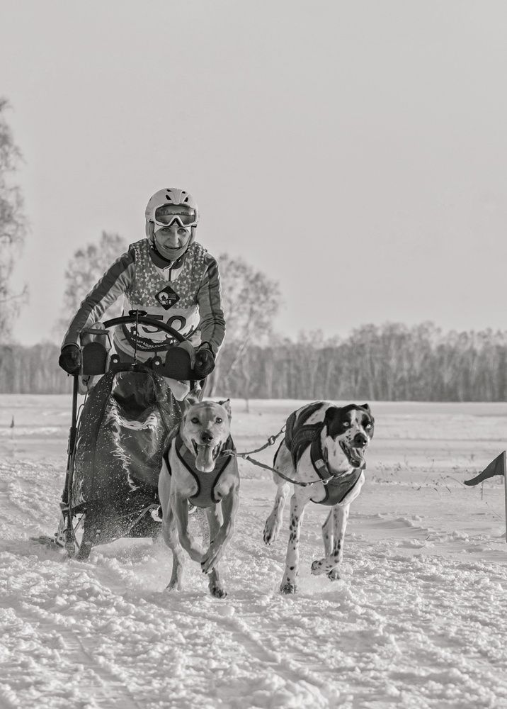 Photograph by Елена Павлова