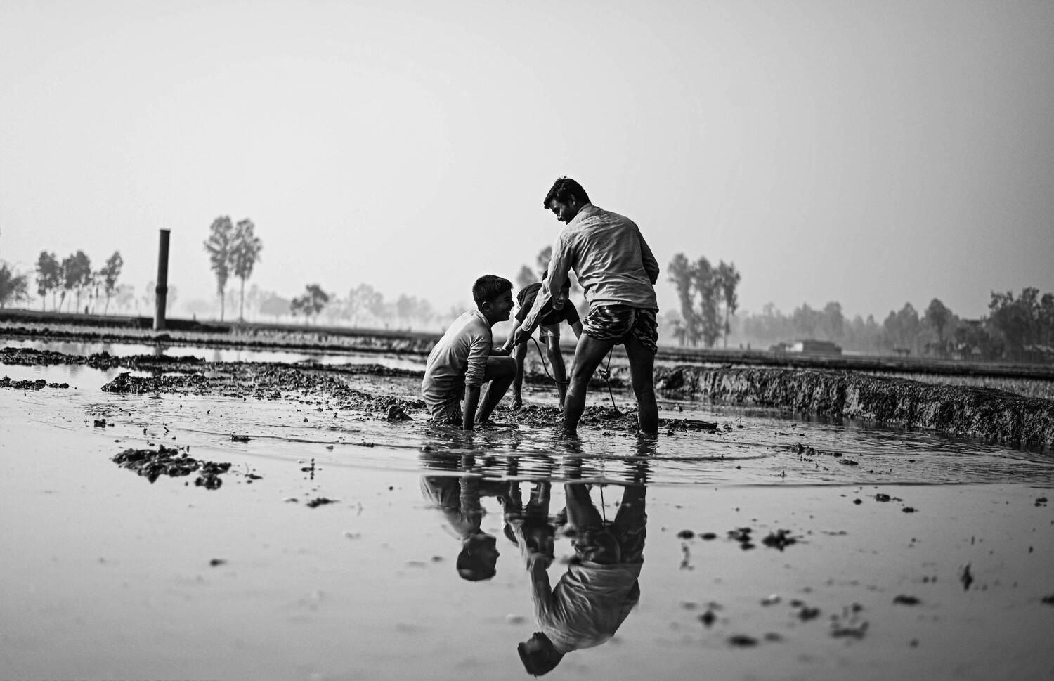 Finding Happiness in Cultivation Finding Happiness in Cultivation