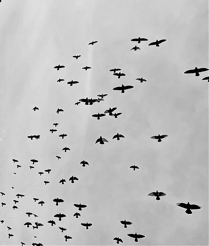 Photograph by Татьяна Шитлина