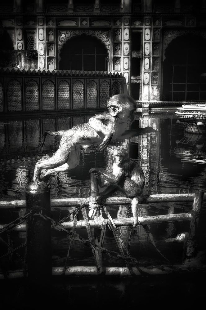 Photograph by Кирилл Леднев