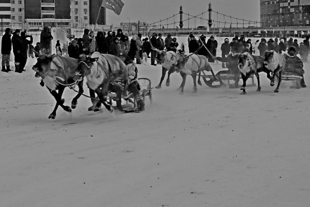 Photograph by Александр Велигура