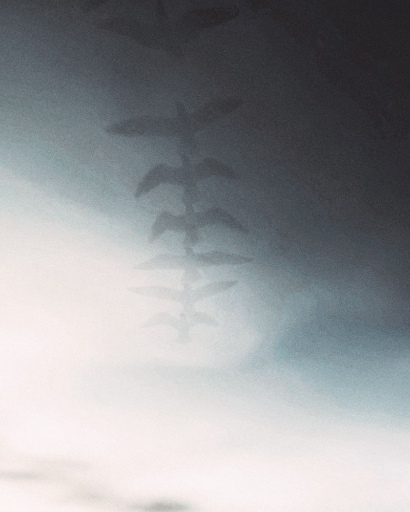 Фотография автора Евгения Никишина