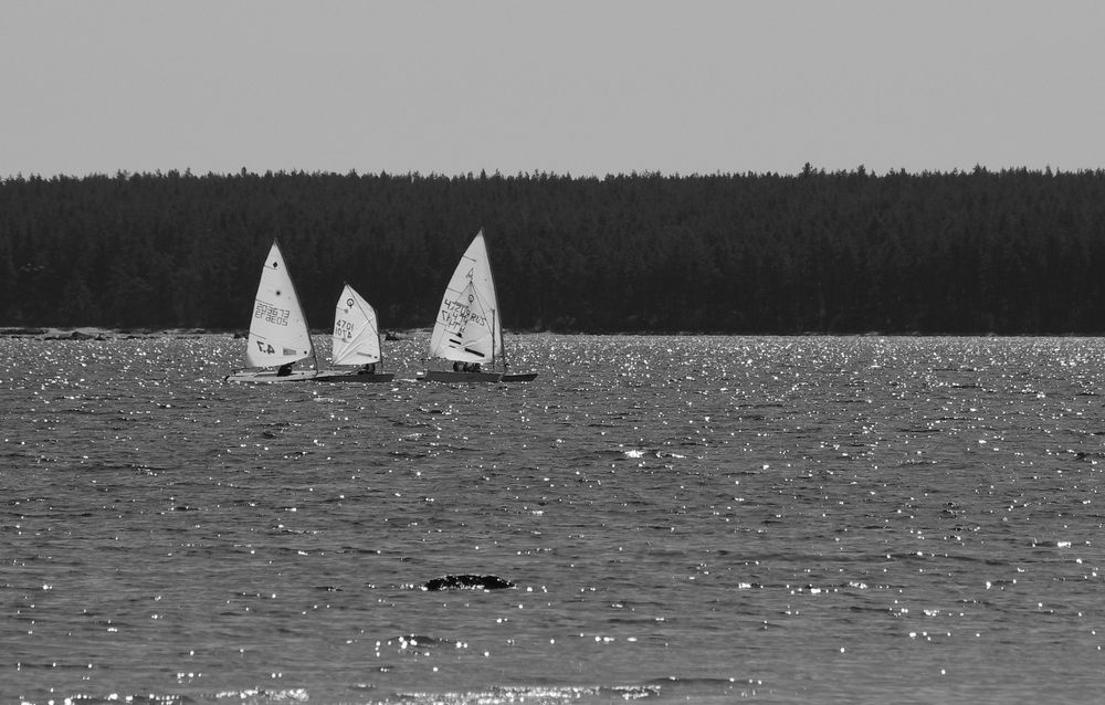 Фотография автора Galina