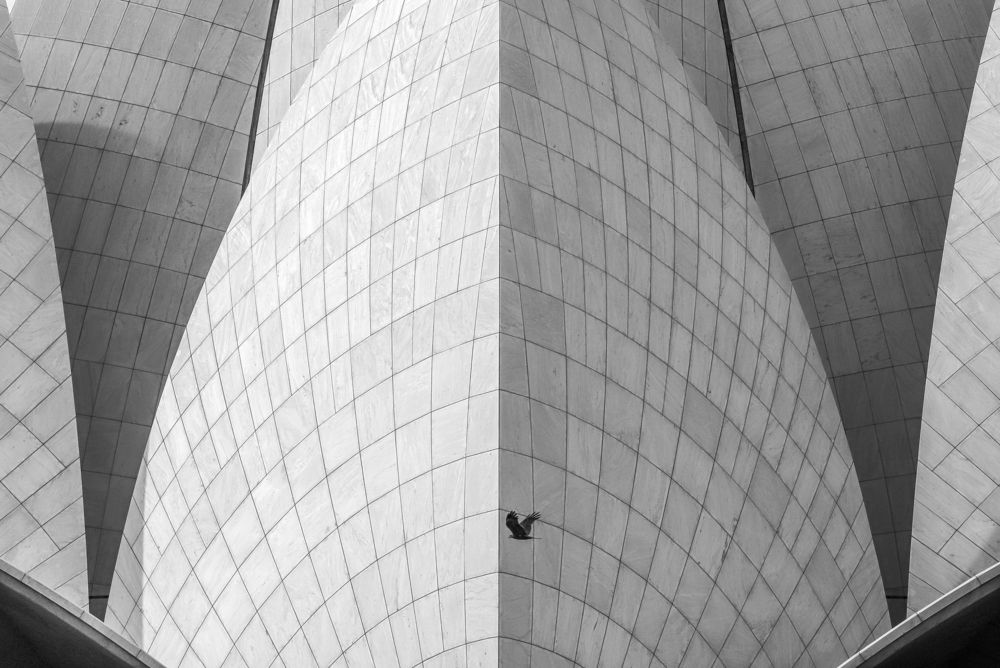 Photograph by Mojtaba Chenari