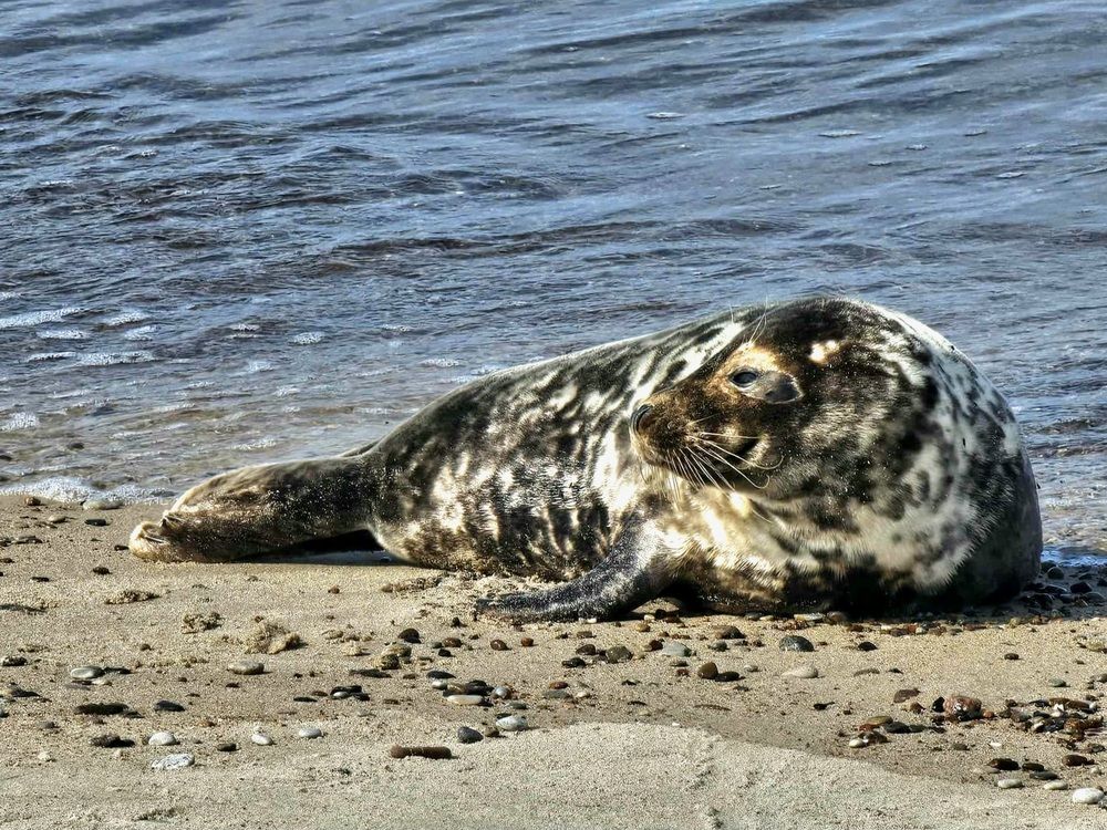 Photograph by Мелетян Наталья