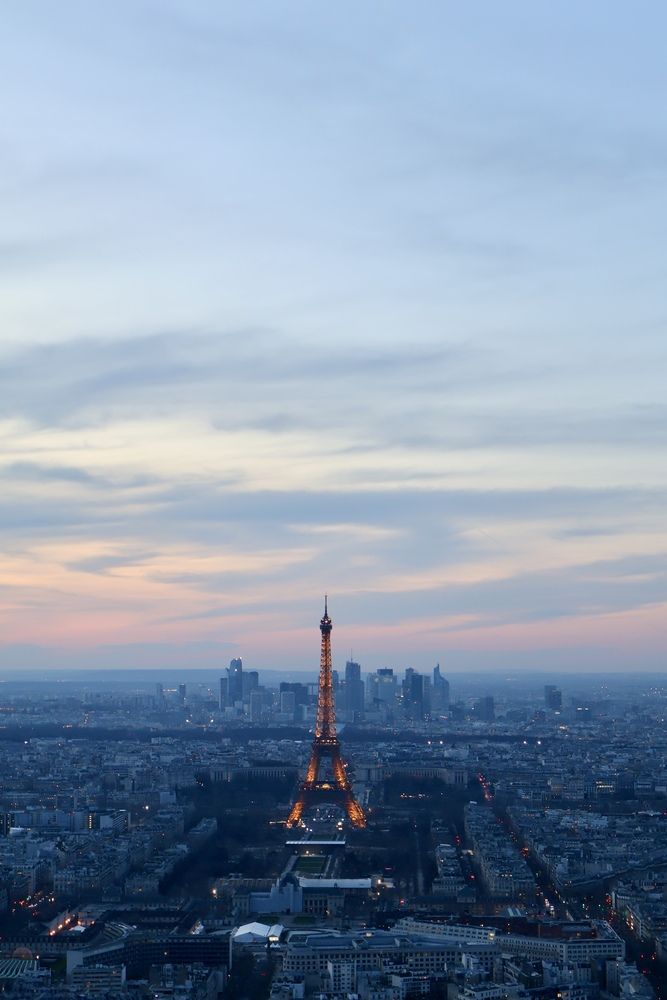 Photo #12833854