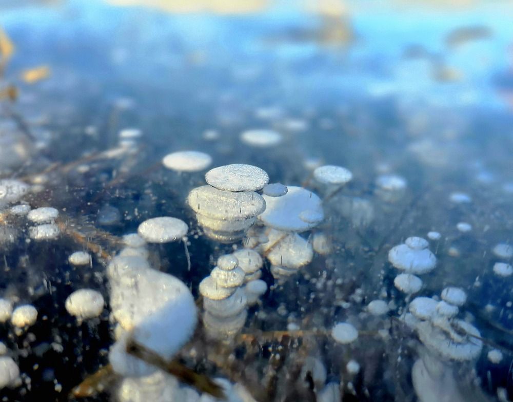 Photograph by Лариса Ким