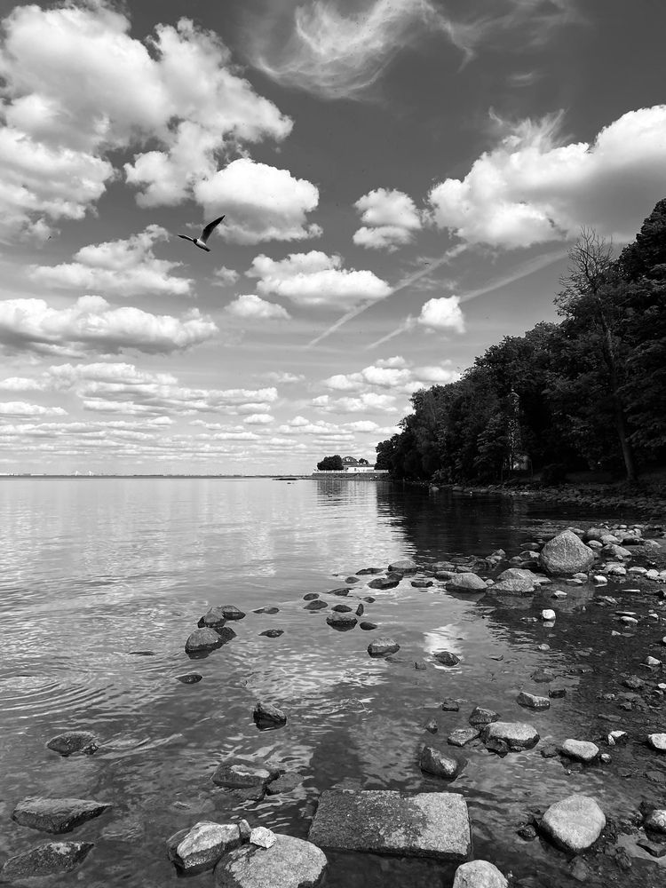 Photograph by Анна Кулакова