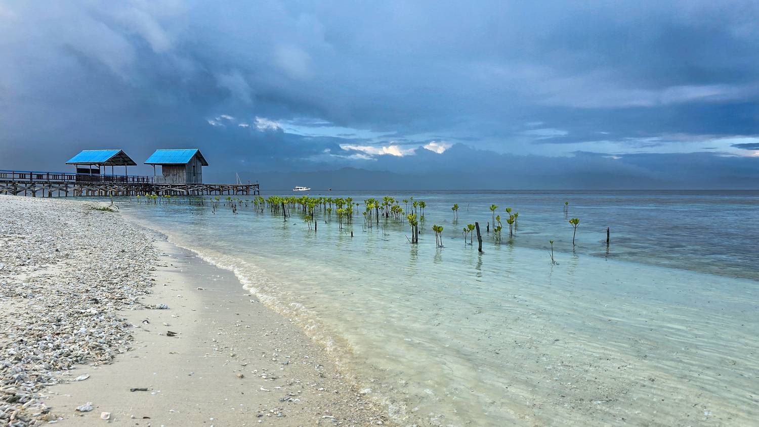 Seashore Arborek Island Raja Ampat
