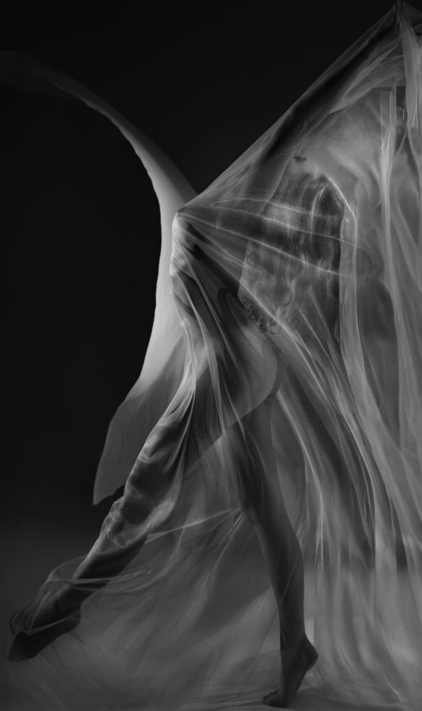 Rebirth